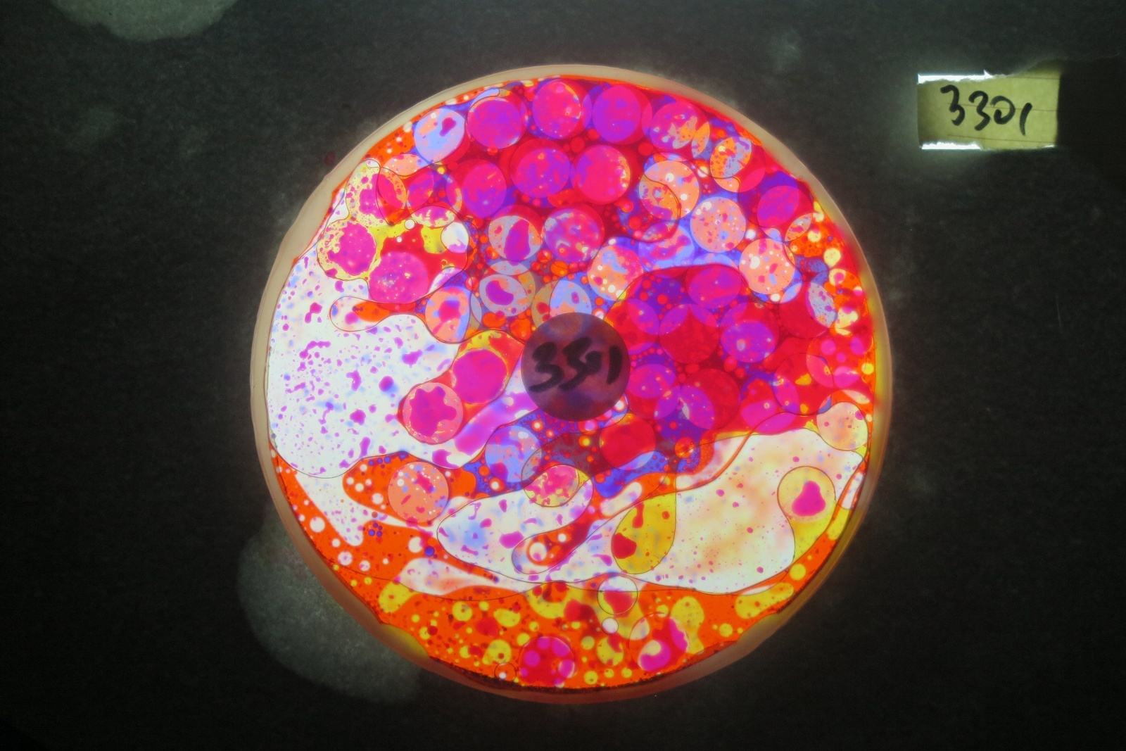 BV3301 bubble vision oil wheel